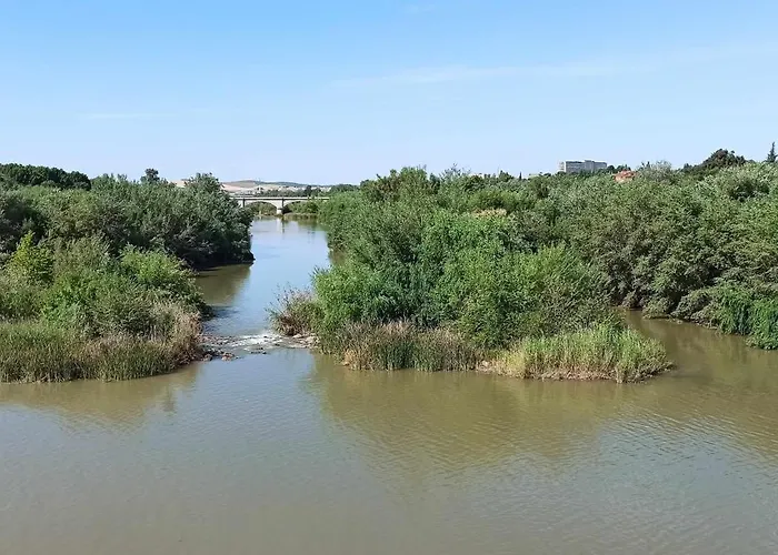 La Pequena Taifa I Apartment