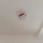 דירה La Pequena Taifa I קורדובה