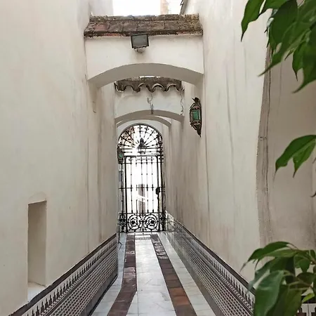 La Pequeña Taifa Mezquita Catedral *